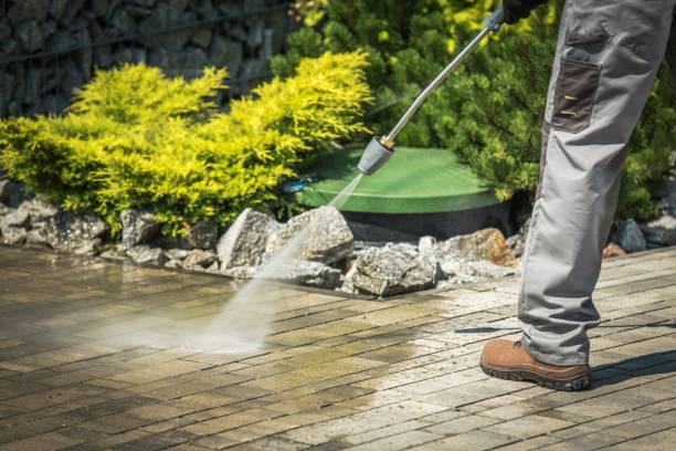 Best Sidewalk and Walkway Cleaning  in Rio Bravo, TX